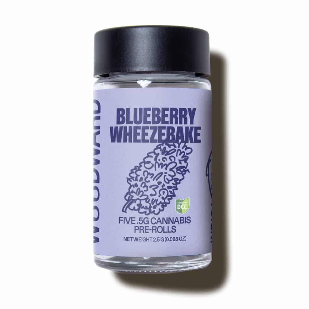 Blueberry Wheezebake