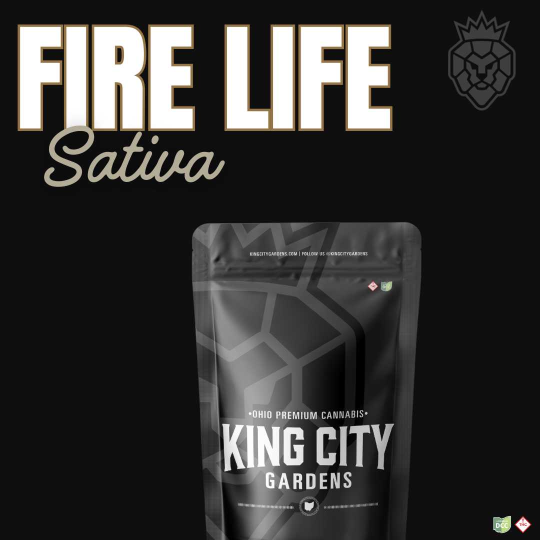 Fire Life