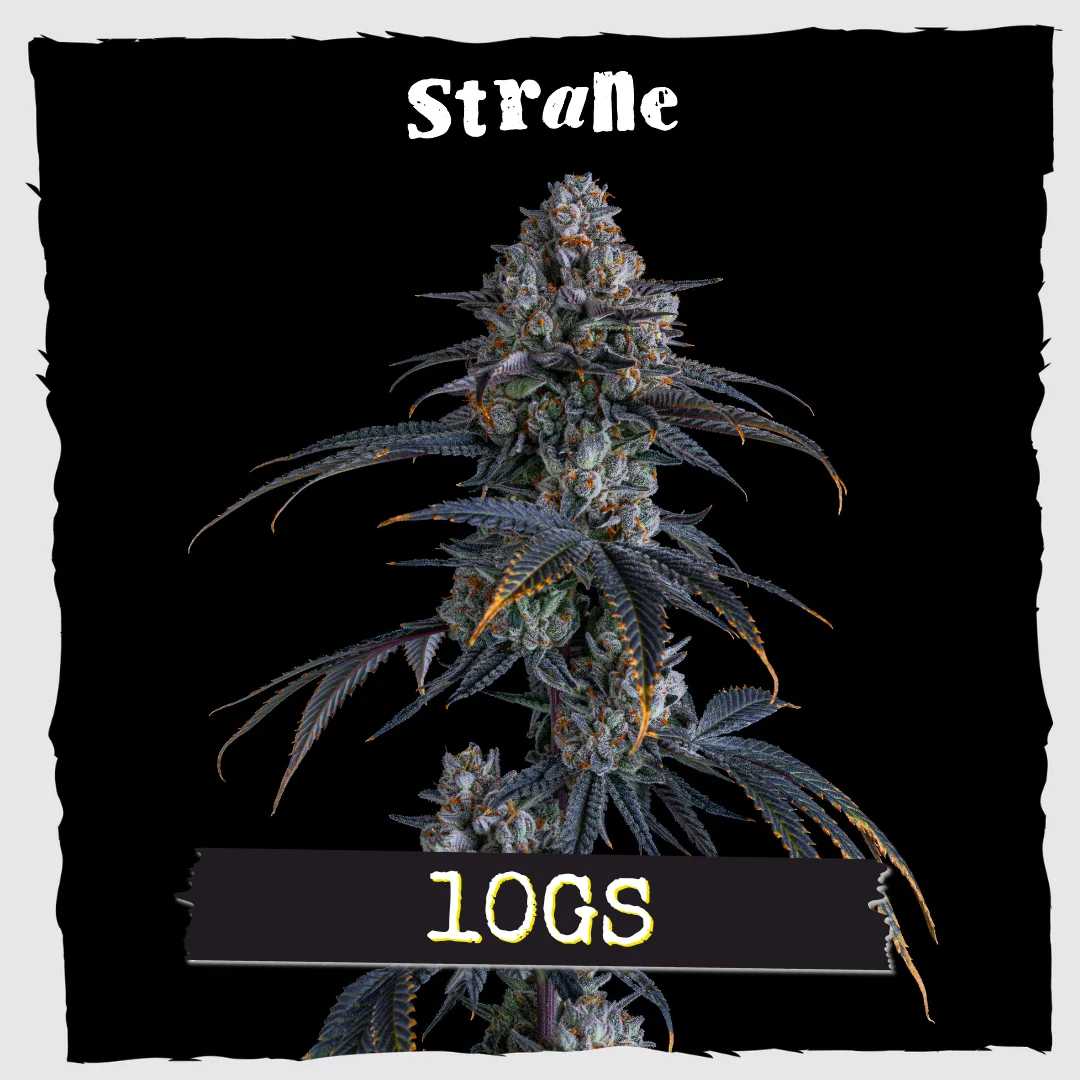 10gs