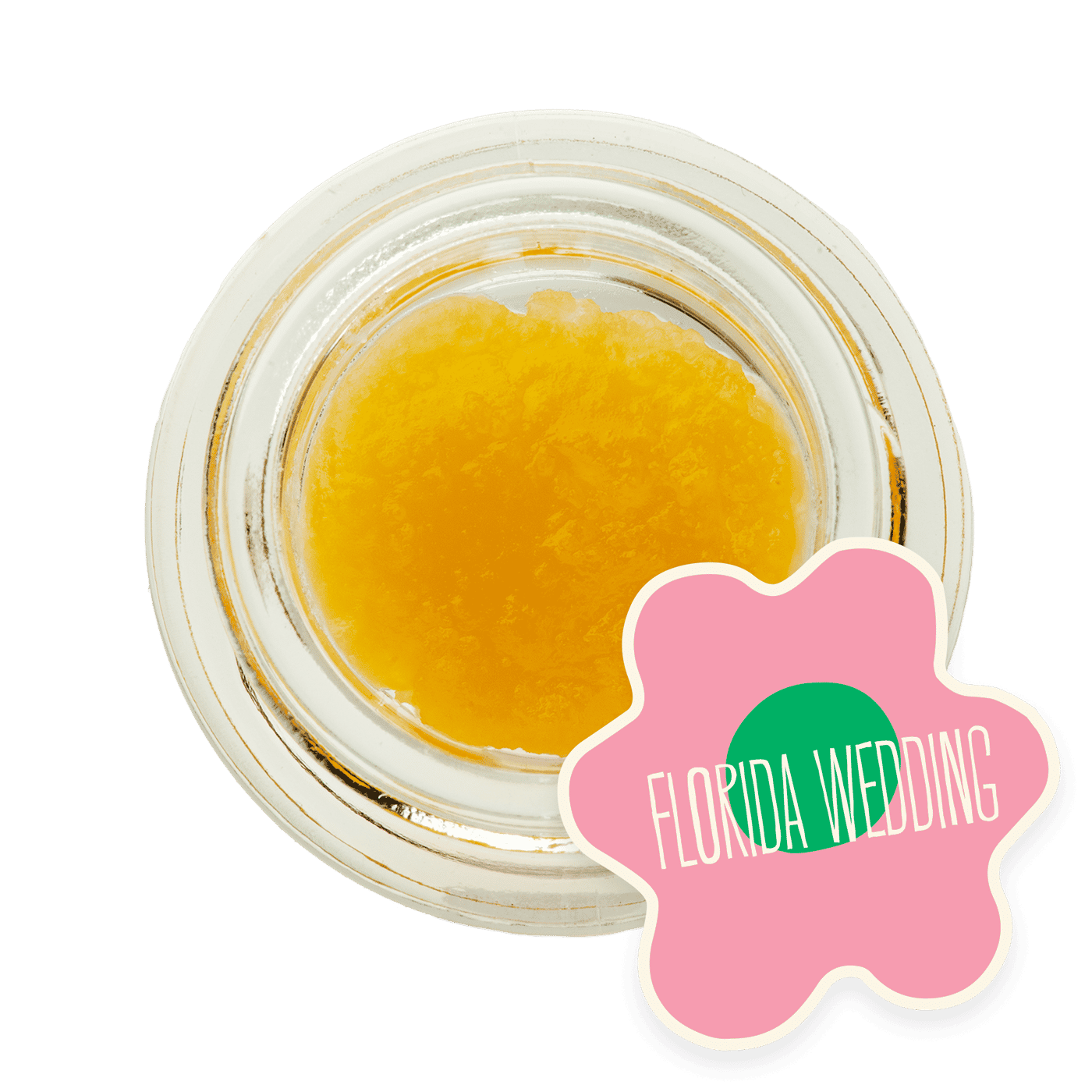 Florida Wedding