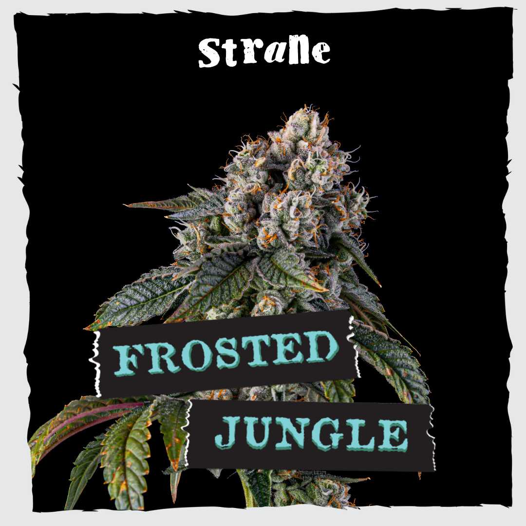 Frosted Jungle