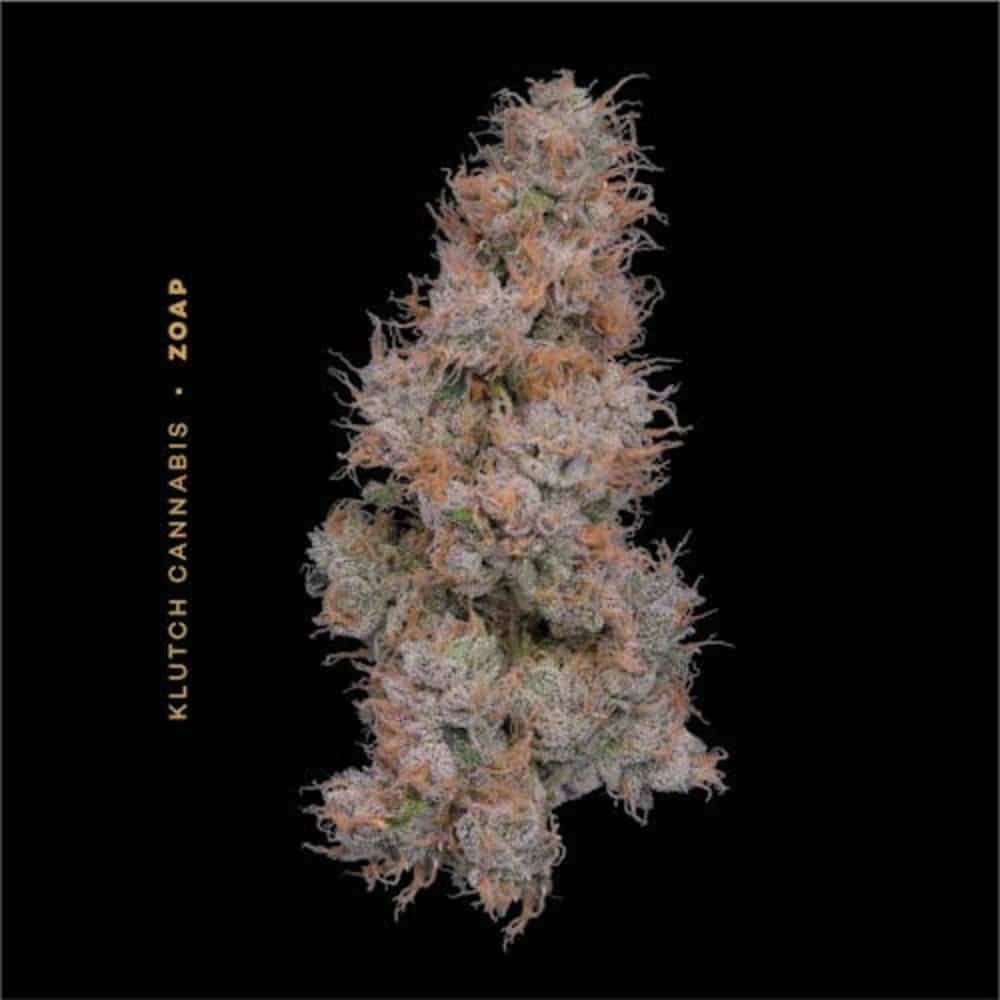 Zoap