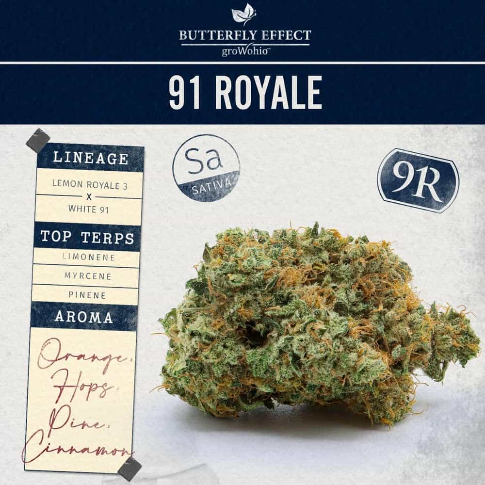 91 Royale