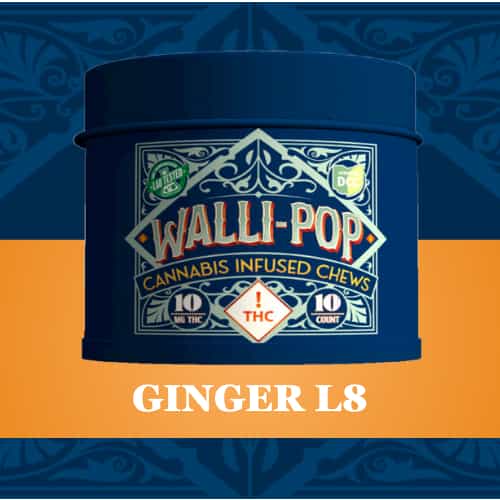 Ginger L8