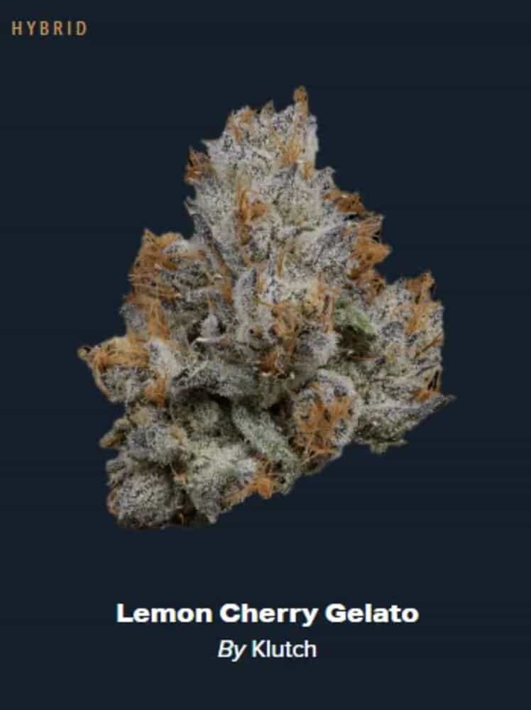 Lemon Cherry Gelato