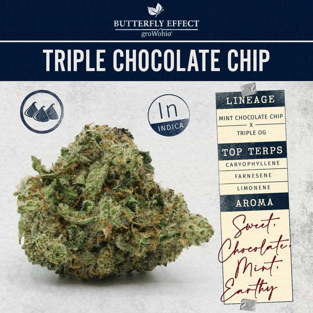 Triple Chocolate Chip