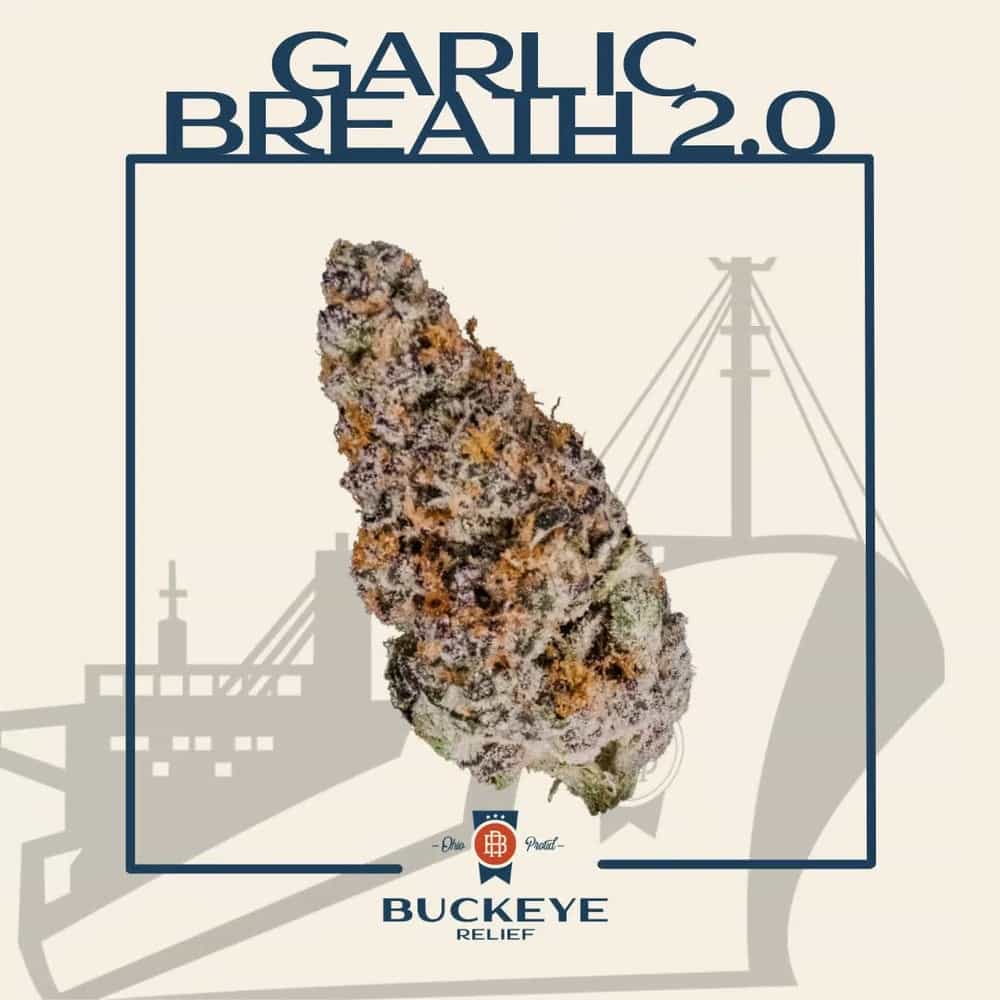 Garlic Breath 2.0