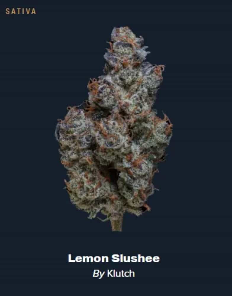 Lemon Slushee
