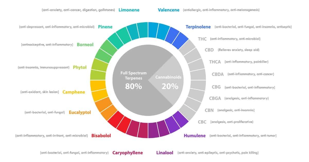 Diagram of cannabinoids and terpenes illustrating the entourage effect in cannabis.