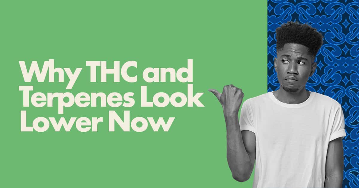why thc and terpenes look lower