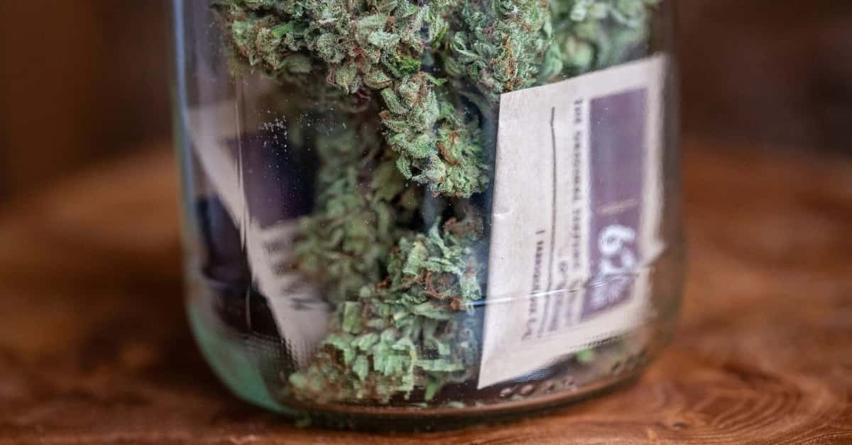 Airtight glass jar storing cannabis flower with humidity control pack.