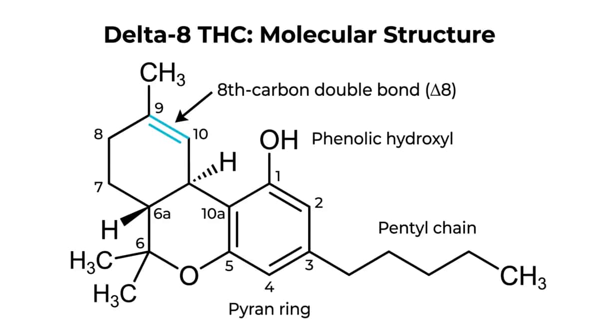 Molecular structure of delta-8 THC showing the carbon-8 double bond position.