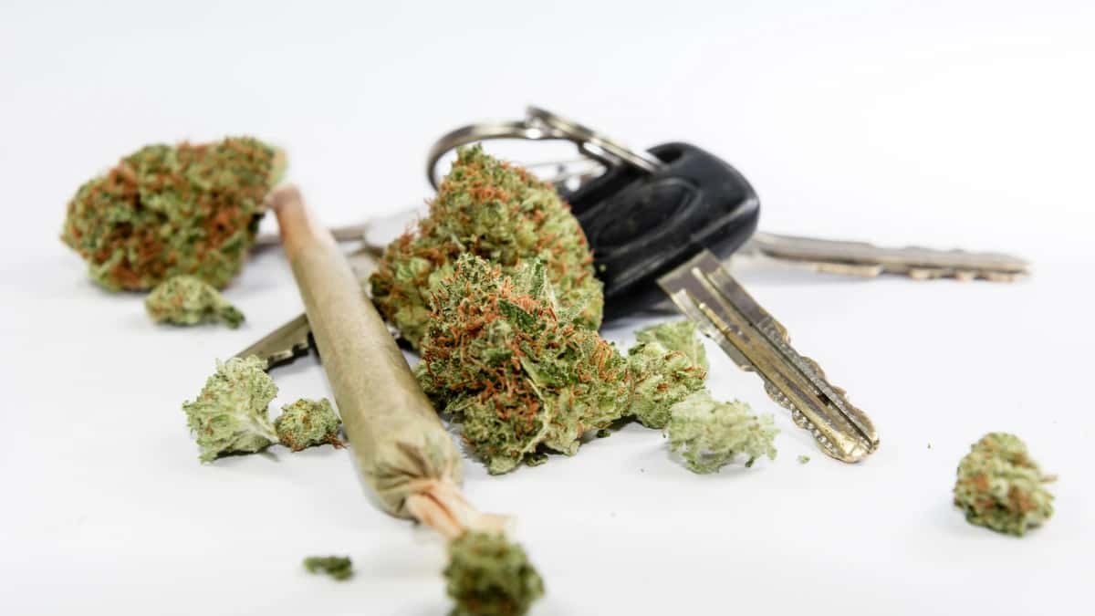 marijuana next to car keys depicting driving under the influence of marijuana
