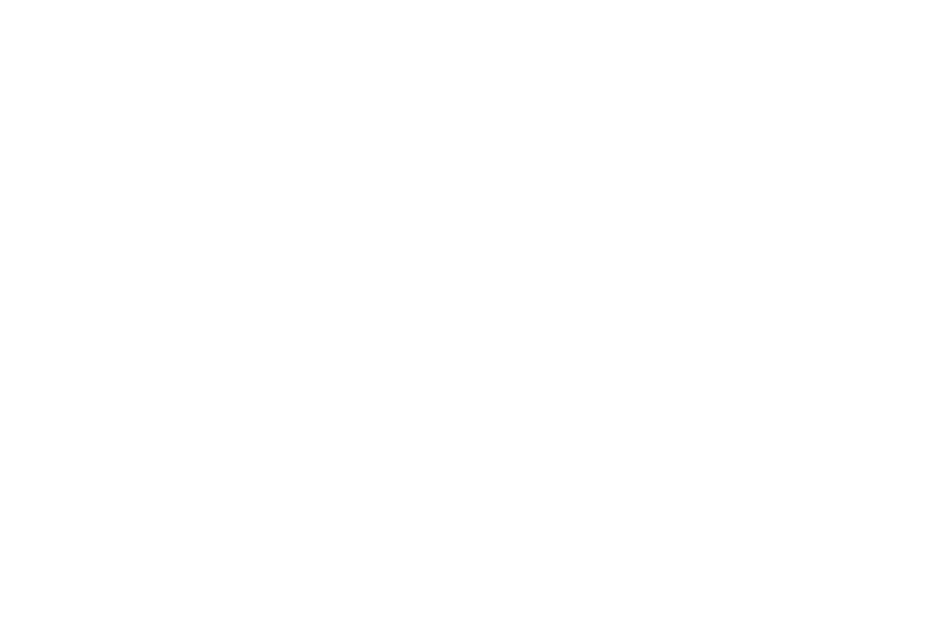 bloomburst_wht_trans_neg