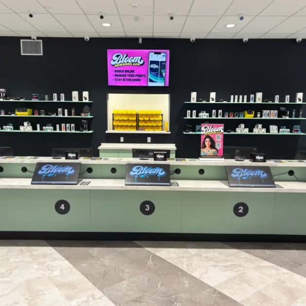 Modern dispensary checkout with numbered counters, Bloom touchscreen displays, product shelves and a pink rewards-app ad on a black wall.