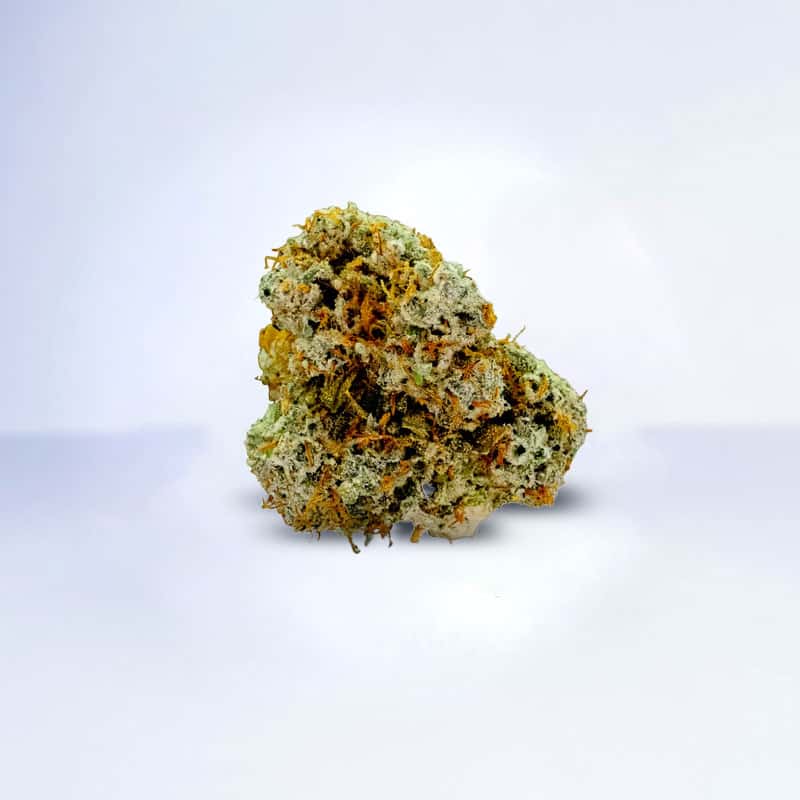 super sour orange flower