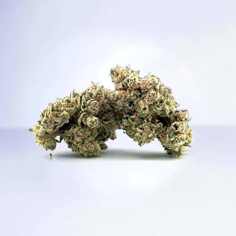 cake crashers strain