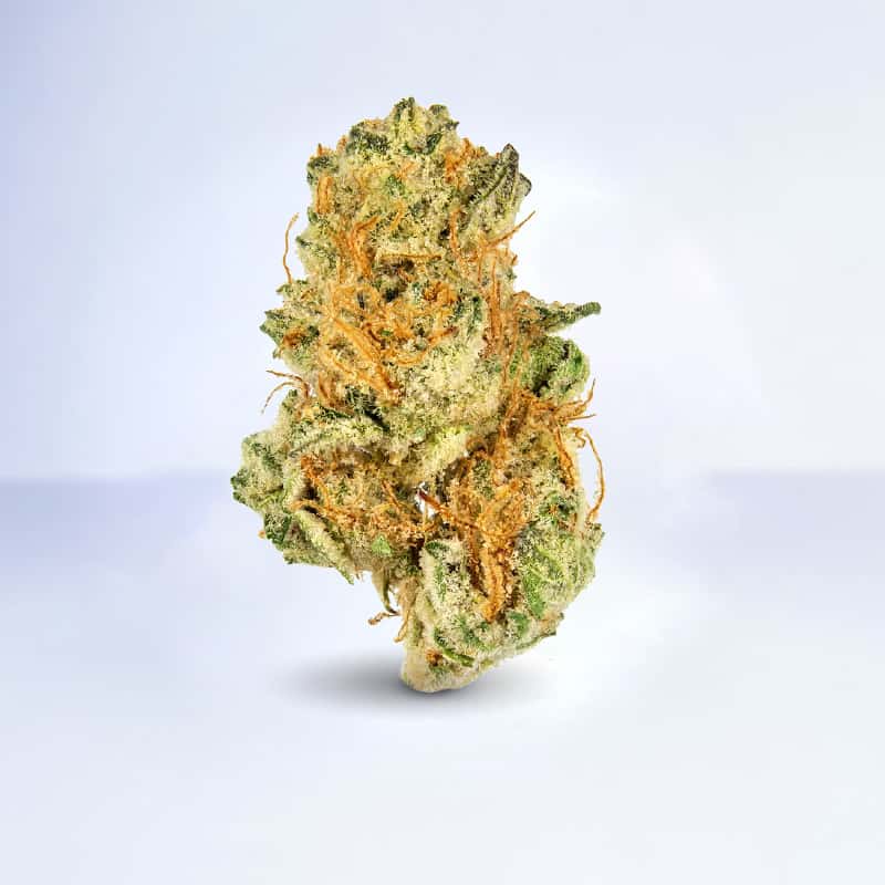 donnie burger strain