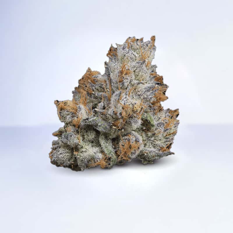 lemon cherry gelato strain