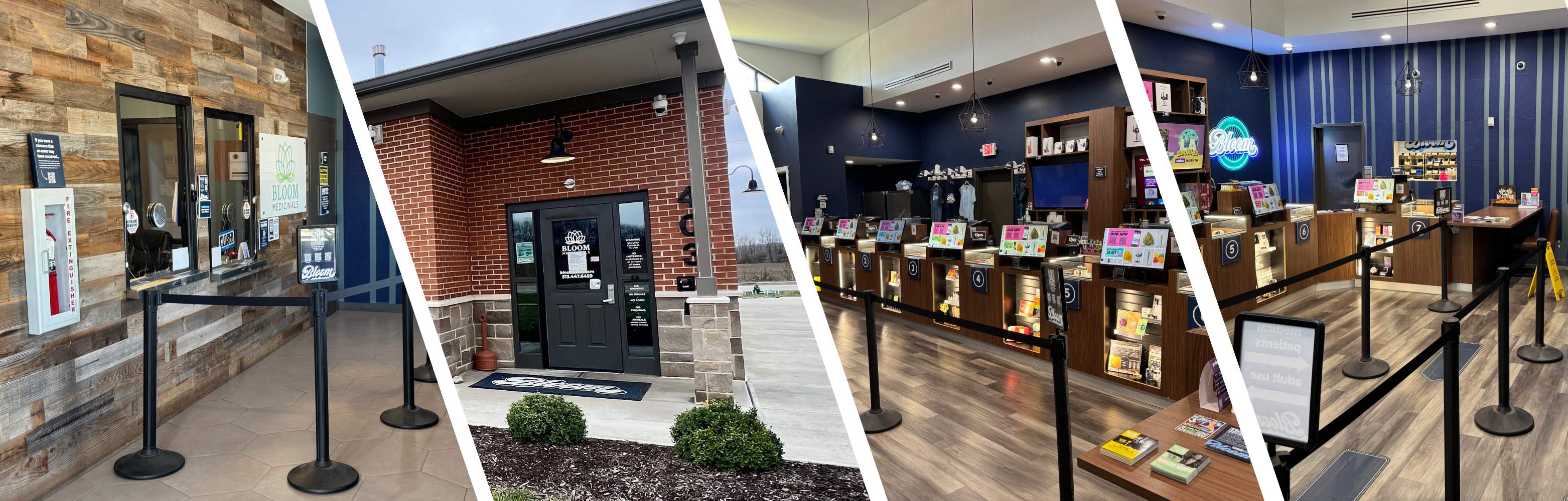 Bloom Medicinals dispensary: brick entrance, wood-clad interior, display counters and stanchion queue.