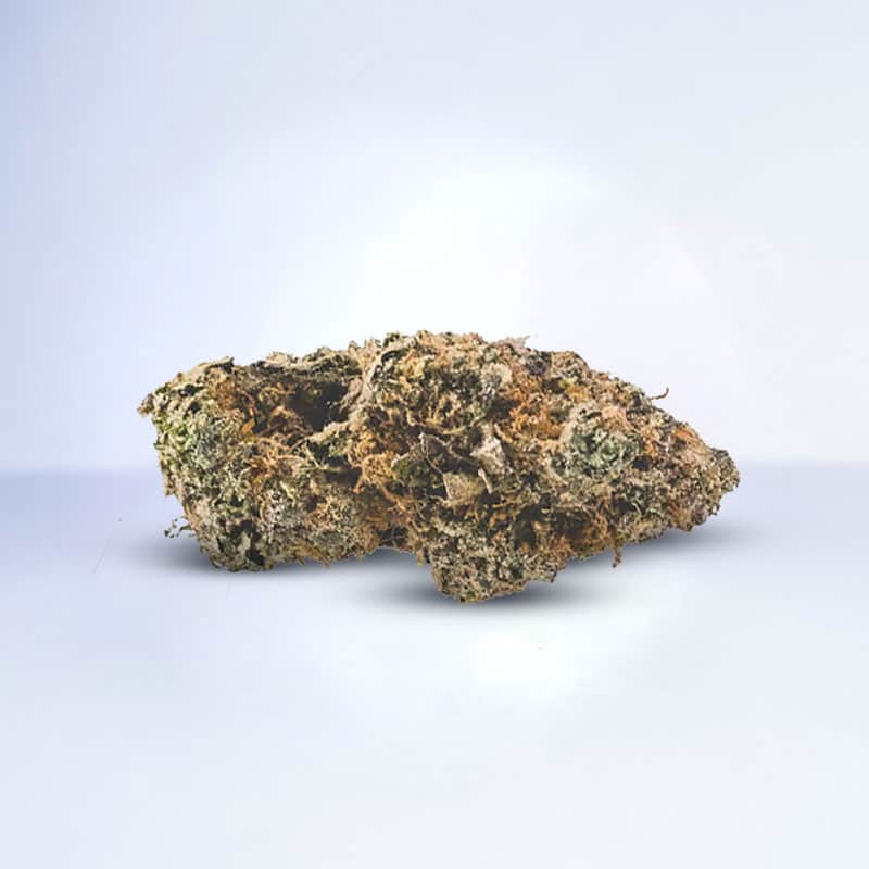 lemon dosidos flower