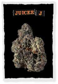 Juicee J - 7g Whole Buds - Hybrid thumbnail 2