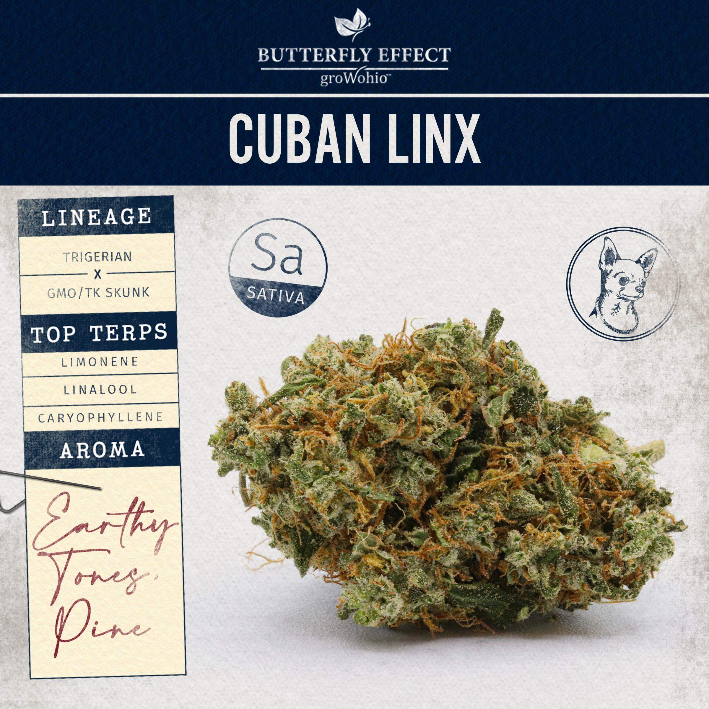 Cuban Linx - 2.83g Whole Buds - Sativa thumbnail 2