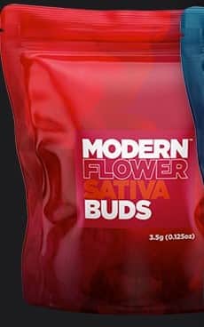 White 99 - 3.5g Whole Buds - Sativa thumbnail 2