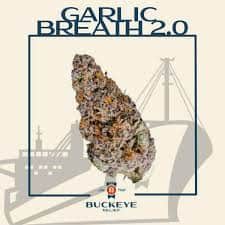 Garlic Breath 2.0 - 2.83g Whole Buds - Indica thumbnail 2