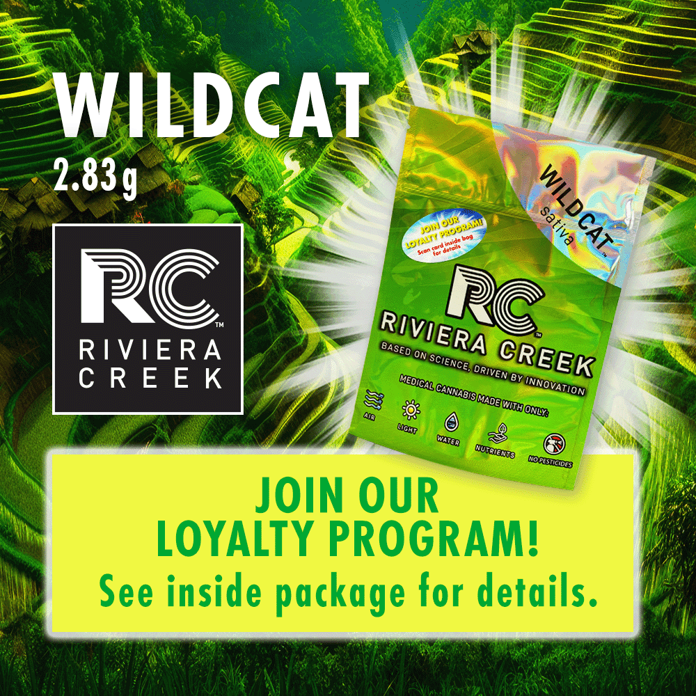 Wild Cat - 2.83g Whole Buds - Sativa thumbnail 2