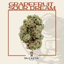 Grapefruit Sour Dream - 2.83g Whole Buds - Sativa thumbnail 2