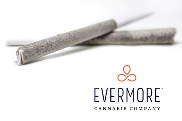 Ice Cream Cake - 1g Packs - Indica - 2pk thumbnail 2