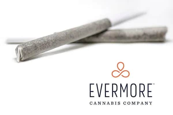 Ice Cream Cake - 1g Packs - Indica - 2pk thumbnail 3