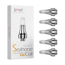 Seahorse Coil Quartz - Accessories - 5pk thumbnail 2