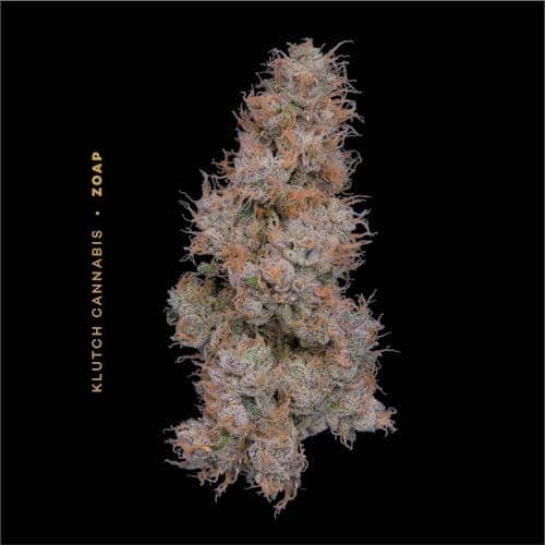 Zoap - 2.83g Whole Buds - Hybrid thumbnail 2