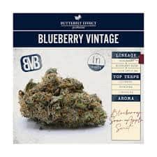 Blueberry Vintage - 2.83g Whole Buds - Indica thumbnail 2