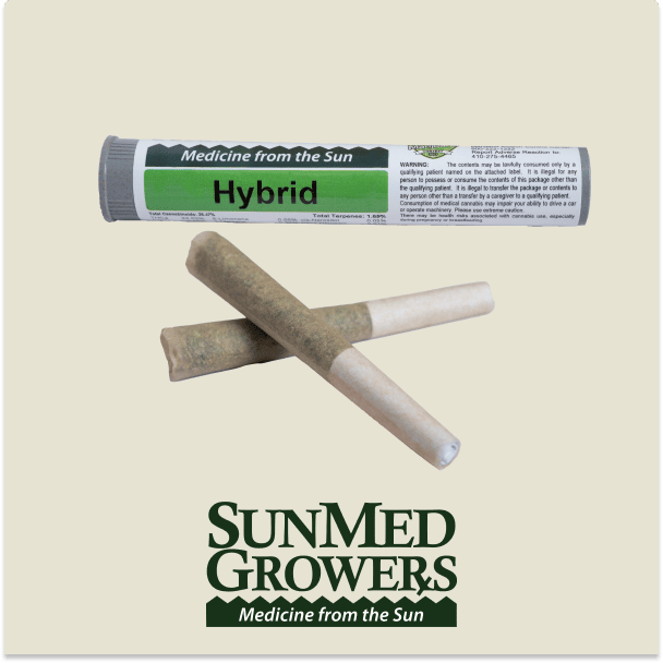 Banana Puddintain - 0.5g Packs - Hybrid - 2pk thumbnail 2