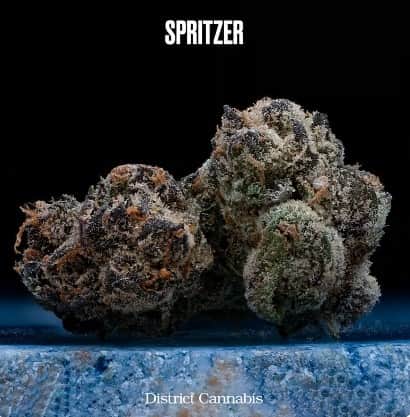 Spritzer - 3.5g Whole Buds - Hybrid thumbnail 2