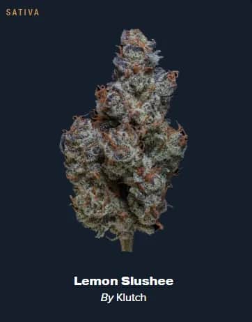 Lemon Slushee - 2.83g Whole Buds - Sativa thumbnail 3