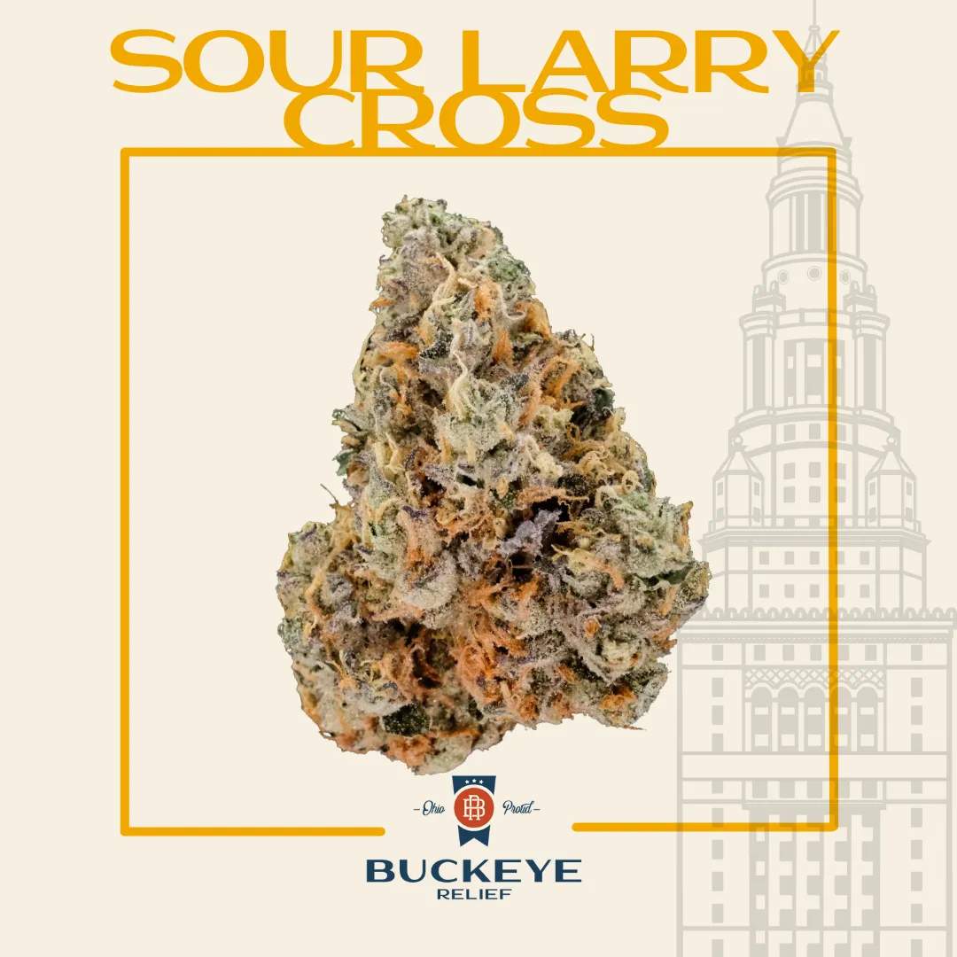 Sour Larry Cross - 2.83g Whole Buds - Hybrid thumbnail 3