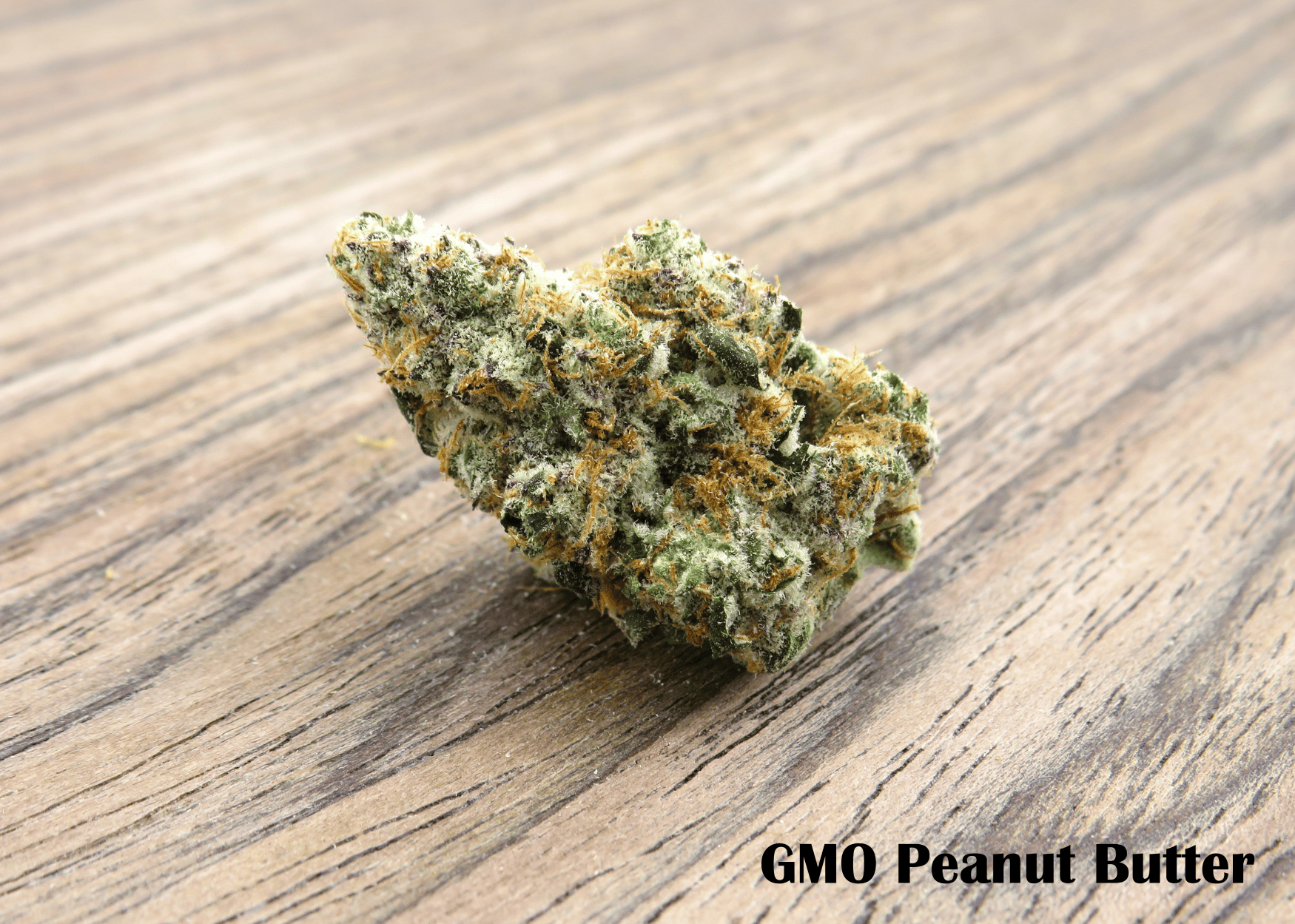 Gmo Peanut Butter - 2.83g Whole Buds - Hybrid thumbnail 2