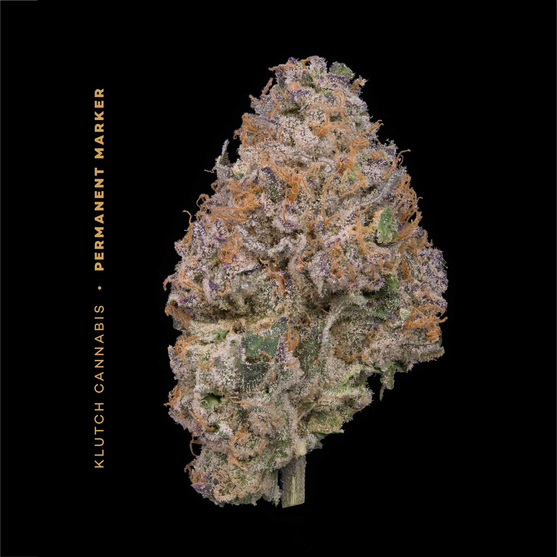 Permanent Marker - 2.83g Whole Buds - Indica thumbnail 2
