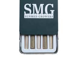 Banana Puddintain - 2.5g Packs - Hybrid - 5pk thumbnail 2