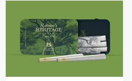 Guicy Banger - 2.5g Packs - Hybrid - 5pk thumbnail 2