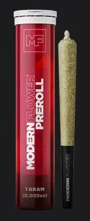 White 99 - 1g Packs - Sativa - 2pk thumbnail 3