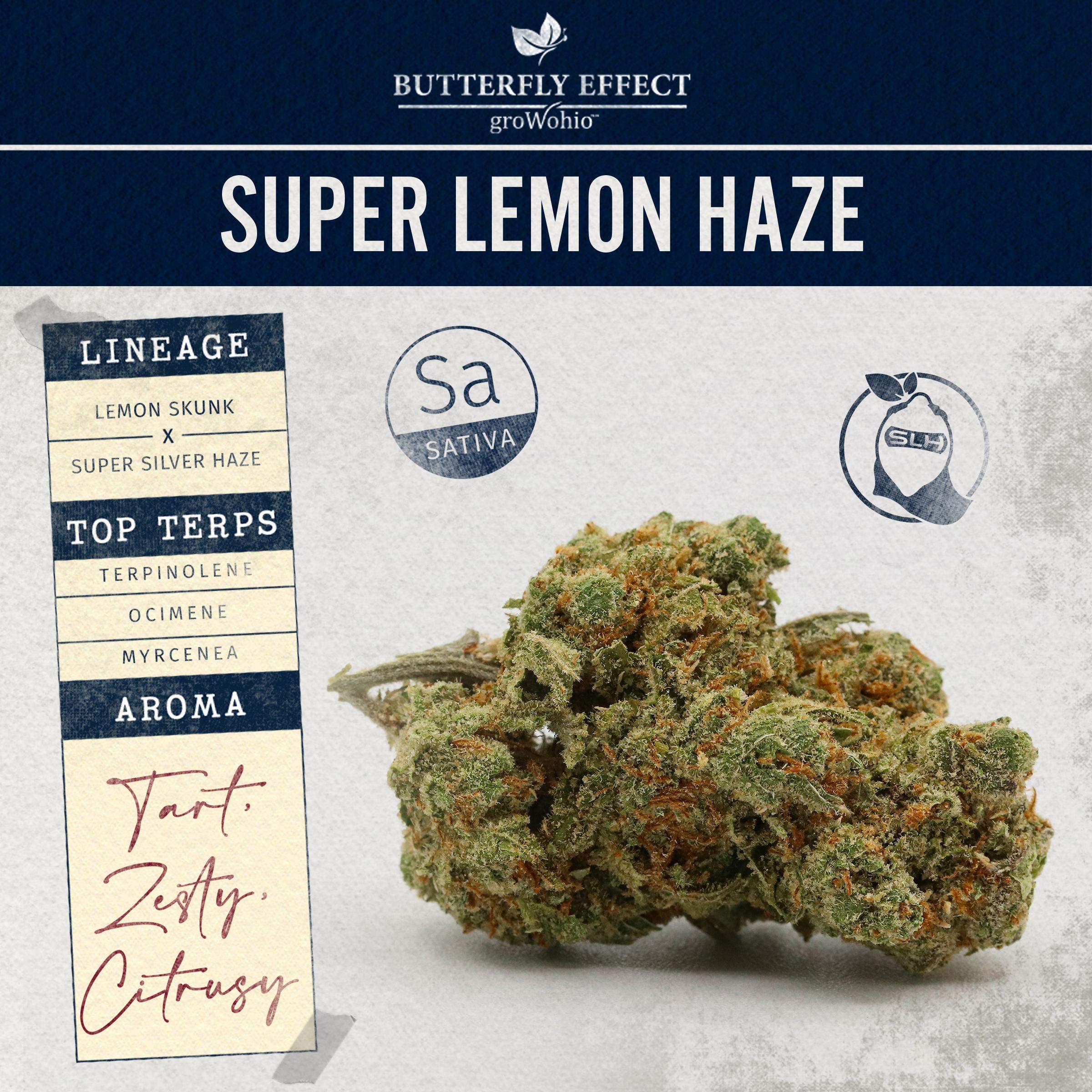 Super Lemon Haze - 2.83g Whole Buds - Sativa thumbnail 2