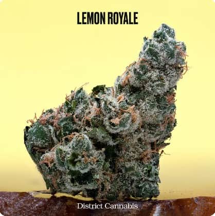Lemon Royale - 3.5g Whole Buds - Sativa thumbnail 2