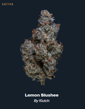 Lemon Slushee - 2.83g Whole Buds - Sativa thumbnail 2
