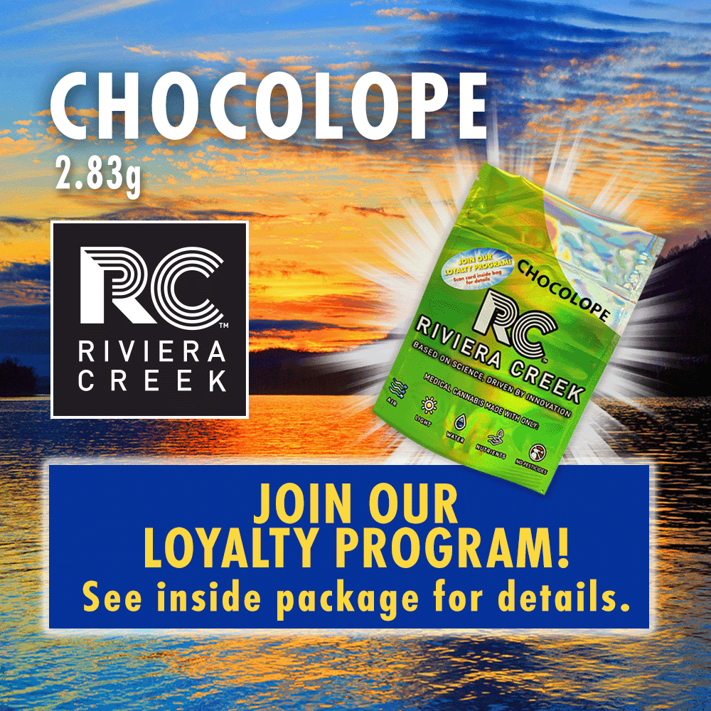 Chocolope - 2.83g Whole Buds - Sativa thumbnail 2