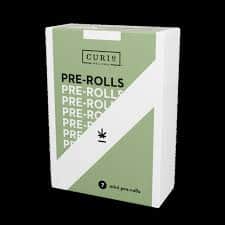 Orange Drizzle - 1.75g Packs - Sativa - 5pk thumbnail 2